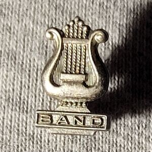 ▪︎Vtg Terryberry Band Pin